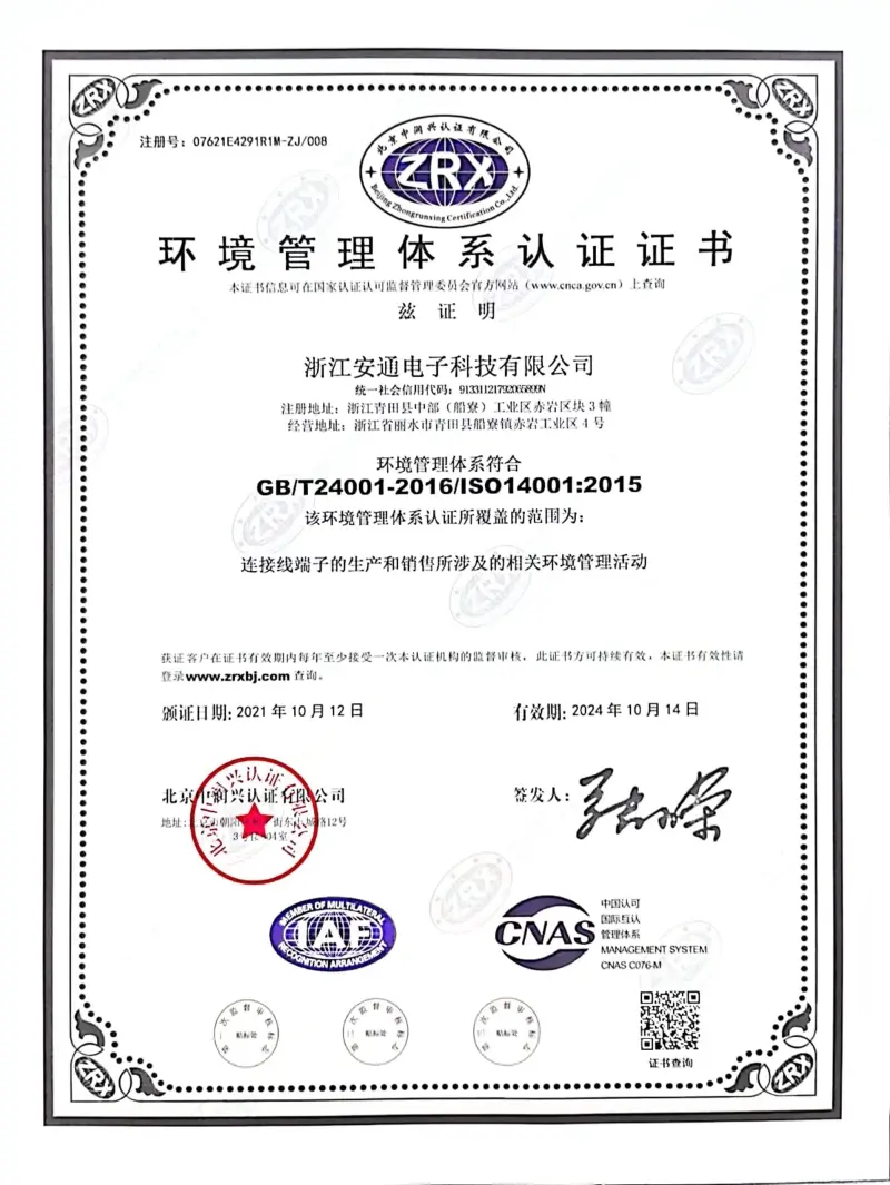 Certification(pic5)