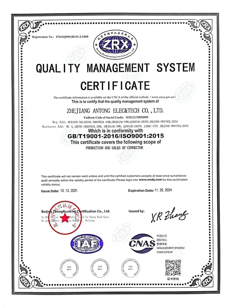 Certification(pic3)