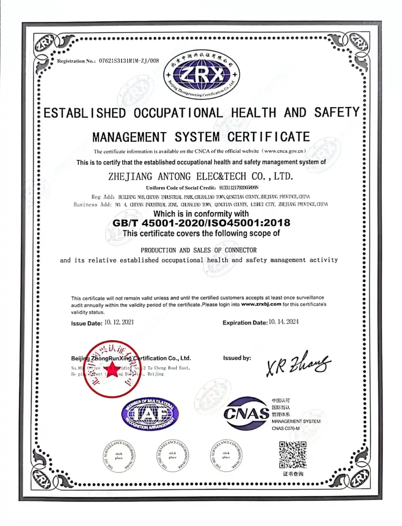Certification(pic2)